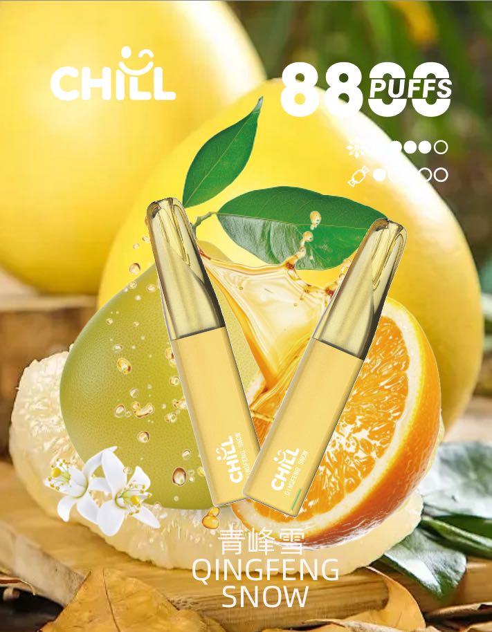 chill始祖鳥電子烟8800口